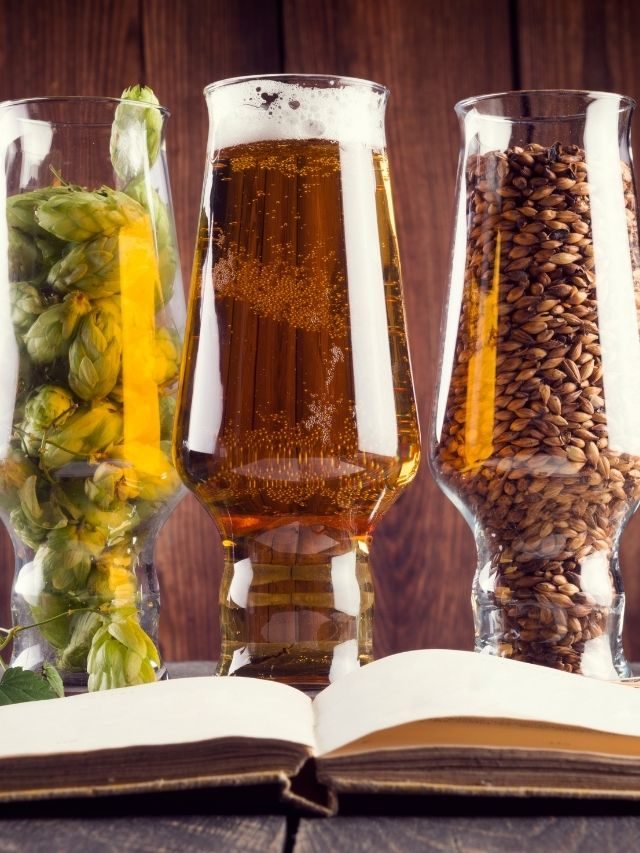 Conheça os 4 principais ingredientes da cerveja