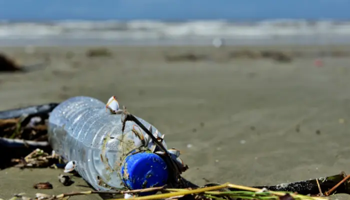 Cerveja Corona incentiva remoção de plástico do mar